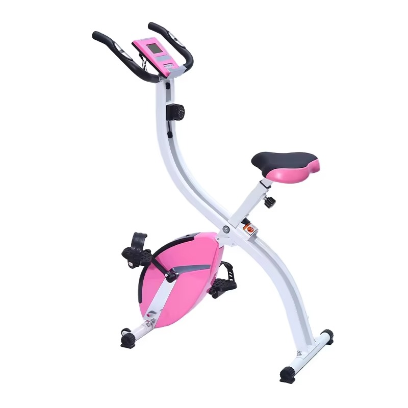 Health Wellness Training - Bicicletta stazionaria controllata magnetica - Biciclette